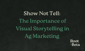 Show Not Tell Blog Header